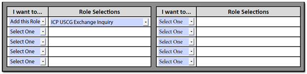 Section Four - MM Role Request Form