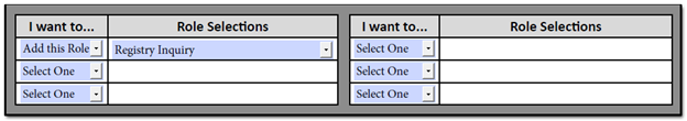 Section Four - Registry Role Request Form